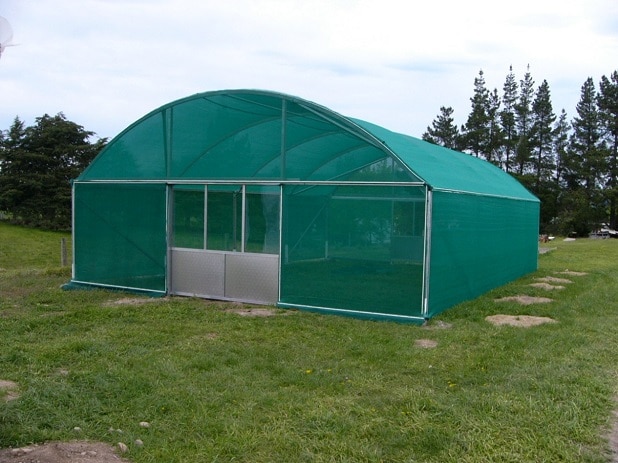 kid running towards windmill through green paddy field